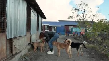 Hayvan barınağı gönüllüsü köpeklerle ilgileniyor. Barınaktaki köpek. Kafesteki Lonley köpekleri neşeli kadın gönüllülerle