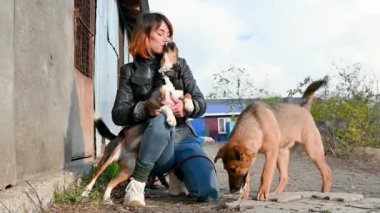 Hayvan barınağı gönüllüsü köpeklerle ilgileniyor. Barınaktaki köpek. Kafesteki Lonley köpekleri neşeli kadın gönüllülerle