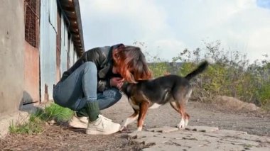 Hayvan barınağı gönüllüsü köpeklerle ilgileniyor. Barınaktaki köpek. Kafesteki Lonley köpekleri neşeli kadın gönüllülerle
