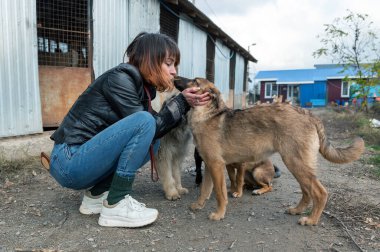 Barınaktaki köpek. Hayvan barınağı gönüllüsü köpeklerle ilgileniyor. Hayvan gönüllüleri evsiz hayvanlarla ilgilenir..