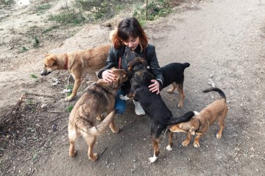 Barınaktaki köpek. Hayvan barınağı gönüllüsü köpeklerle ilgileniyor. Hayvan gönüllüleri evsiz hayvanlarla ilgilenir..