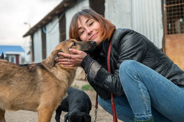 Anjing Tempat Penampungan Perlindungan Hewan Sukarela Merawat Anjing Sukarelawan Hewan Stok Lukisan  