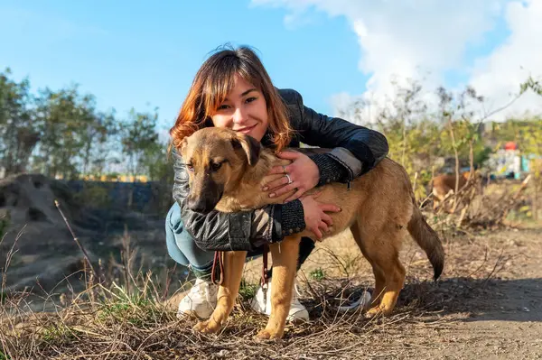 Anjing Tempat Penampungan Perlindungan Hewan Sukarela Merawat Anjing Sukarelawan Hewan Stok Foto