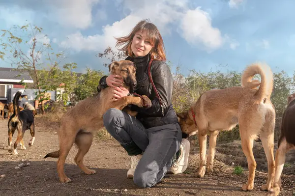 Barınaktaki köpek. Hayvan barınağı gönüllüsü köpeklerle ilgileniyor. Barınakta köpekle ilgilenen gönüllü.