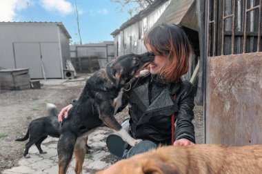 Barınaktaki köpek. Hayvan barınağı gönüllüsü köpeklerle ilgileniyor. Barınakta köpekle ilgilenen gönüllü.