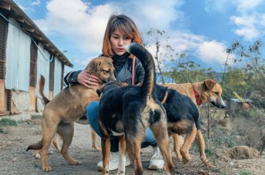 Barınaktaki köpek. Hayvan barınağı gönüllüsü köpeklerle ilgileniyor. Barınakta köpekle ilgilenen gönüllü.