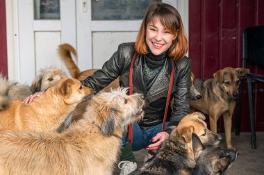 Barınaktaki köpek. Hayvan barınağı gönüllüsü köpeklerle ilgileniyor. Kafeste yalnız köpekler ve neşeli bir gönüllü kadın.. 