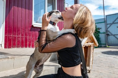 Barınaktaki köpek. Hayvan barınağı gönüllüsü köpeklerle ilgileniyor. Yanlız köpek ve neşeli kadın gönüllü. 