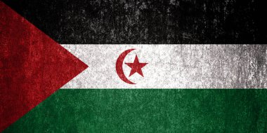 Sahra Arap Demokratik Cumhuriyeti Bayrağı. Metal yüzeyde kirli Sahra Arap Demokratik Cumhuriyeti bayrağı. Metal doku 