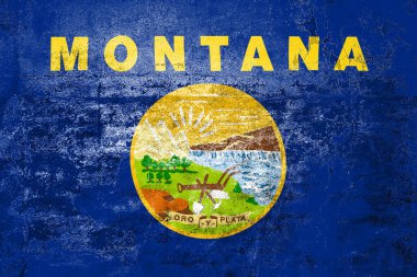 Montana Eyalet Bayrağı. Duvarda kirli Montana bayrağı var. Grunge duvar dokusu 