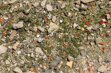 İnşaat atıkları kapanıyor. Kırık tuğlalar, yıkım enkazı, yıkım parçaları ve çöpler.