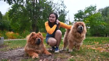 Parkta iki köpekle yatan genç bir kadın. İki güzel köpek maması olan bir kadının portresi. En iyi arkadaşımla kestiriyorum.