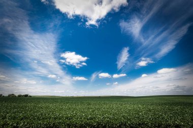 Dyersville, Iowa yakınlarındaki Dyersville Doğu Yolu 'ndan gökyüzü ve mısır tarlalarının manzarası.