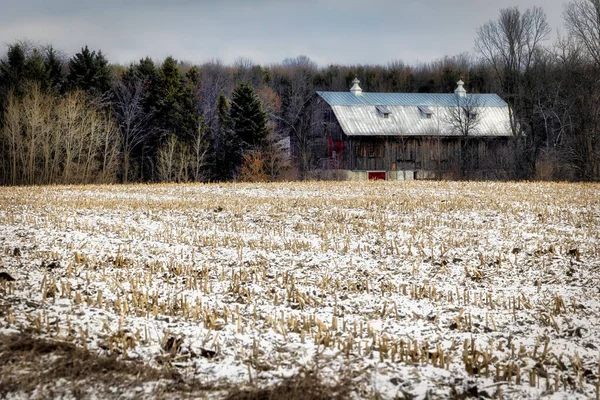 Snow Covered Cornfield Old Barn Background Stands Kossuth Area Manitowoc — Stock Photo, Image
