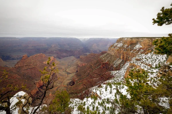 Arizona Nın Güney Kıyısındaki Patikadan Grand Canyon Ulusal Parkı Bakıyorum — Stok fotoğraf