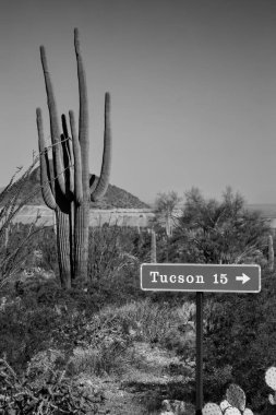 Arizona 'nın Sonoran Çölü' ndeki Saguaro Ulusal Parkı 'nın batı bölgesinde Tucson için bir tabela bulunmaktadır..