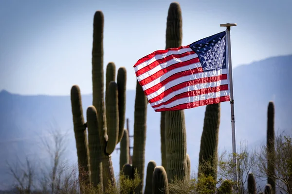 Uma Bandeira Americana Voa Uma Manhã Mola Perto Distrito Ocidental — Fotografia de Stock