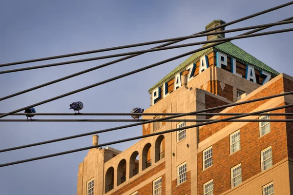 Galambok Ülnek Elektromos Vezetékek Belvárosban Történelmi Plaza Hotel Háttérben Paso — Stock Fotó