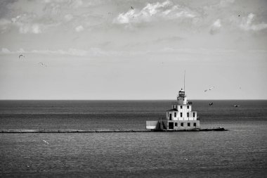 Manitowoc, Wisconsin 'deki Michigan Gölü limanında martıların akın ettiği kuzey rıhtım feneri..