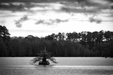 Virginia Beach yakınlarındaki Stumpy Gölü üzerinde Mart sabahı bulutlar