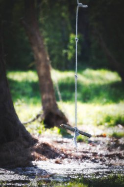 A rope swing hangs in a forest near South Mill, North Carolina. clipart