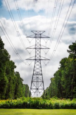 Chesapeake, Virginia 'daki Oak Grove Gölü Parkı yakınlarındaki elektrik hatları..