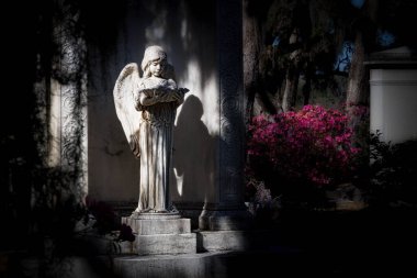 Güneş ışığı, Savannah, Georgia 'daki Bonaventure Mezarlığı' nda bir melek heykelini aydınlatıyor..