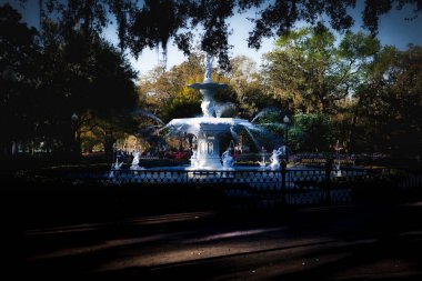 Georgia, Savannah 'daki Forsyth Park Parkı Pınarı' nda açmakta olan çiçeklerle bir bahar sabahı..