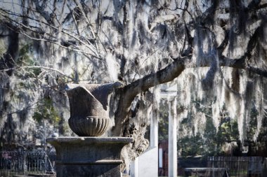 Colonial Park Mezarlığı 'ndaki bir mezarda kırılmış bir vazo. 1853 'te defin burada durdu ve İç Savaş sırasında Birlik askerlerinin geçici evi haline geldi. 1896' dan beri Savannah, Georgia 'da bir şehir parkı..