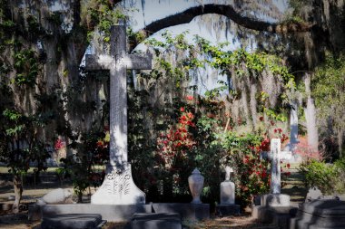 Savannah, Georgia 'daki Bonaventure Mezarlığı' nda İspanyol yosunu, çiçek ve haçlar..