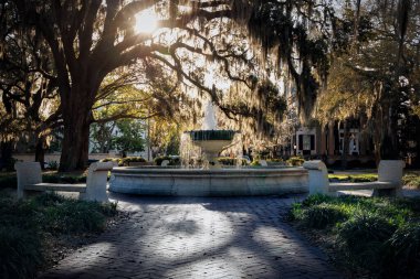 Savannah, Georgia 'daki Orleans Meydanı' nda Alman Anıt Pınarı İspanyol yosunlarıyla çevrili..