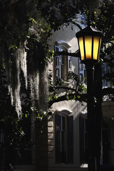 İspanya yosunu ve Georgia Savannah 'daki Pulaski Meydanı yakınlarında bir sokak lambası..