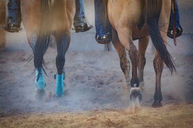 Vado, New Mexico 'da iki at binicilerinin altındaydı..