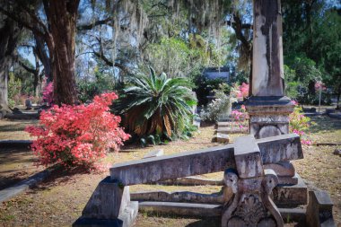 Renkli güzellik, İspanyol yosunu ve Savannah, Georgia 'daki Bonaventure Mezarlığı' nda bir taş haç..