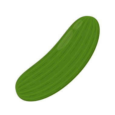 Beyaz arkaplanda salatalık vektör çizimi.