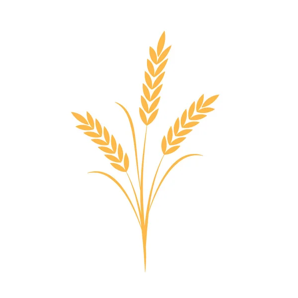 Pirinç Sembolü Buğday Sembolü Vektörü Duvar Kağıdı Logo Tasarımı — Stok Vektör