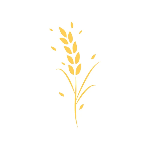 Symbol Ryżu Wektor Symbolu Pszenicy Tapeta Projekt Logo — Wektor stockowy