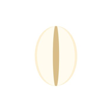 Millet isolated on white background. Top view. Millet vector.