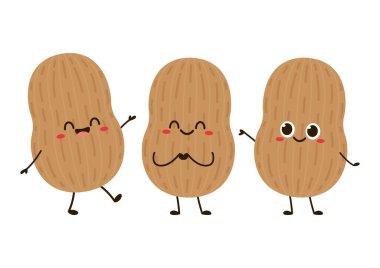 Fıstık çizgi film vektörü. Beyaz arkaplanda yer fıstığı.