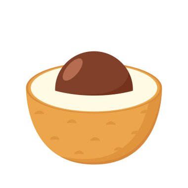 Longan vector. Summer tropical fruits for healthy lifestyle. Longan fruit. Vector illustration cartoon flat icon isolated on white.