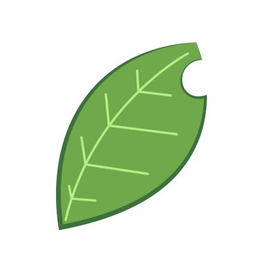 Leaf Pair Icon Vector Illustrations on White Background.