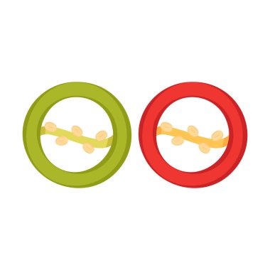 Red and Green hot chili pepper. Vector illustration isolated on a white background.