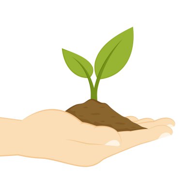 Beyaz arka planda el vektöründe bitki. Elde bitki. Vektör simgesi.