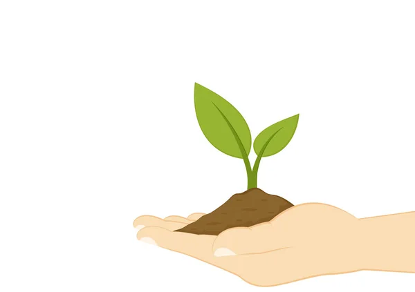 Planta Vetor Mão Sobre Fundo Branco Planta Mão Ícone Vetorial — Vetor de Stock