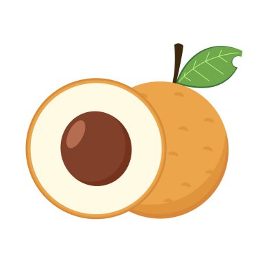 Longan vector. Summer tropical fruits for healthy lifestyle. Longan fruit. Vector illustration cartoon flat icon isolated on white.