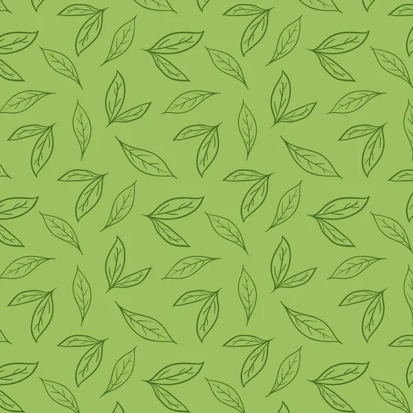 Зеленый Чай Узор Обои Вектор Зеленого Чая Шаблон Маття — стоковый вектор