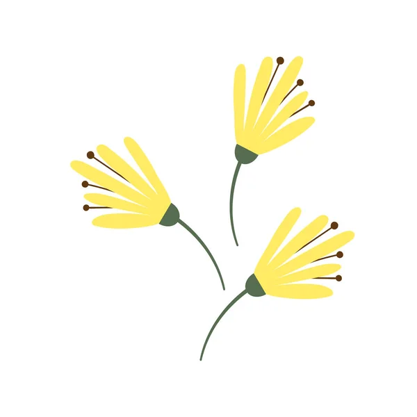 Вектор Квітки Мімози Ілюстрація Ізольована Білому Тлі Жовта Квітка — стоковий вектор