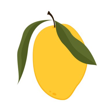 Mango vektörü. Beyaz arka planda mango. Logo tasarımı. Mango karikatür vektörü. Tayland tatlısı..
