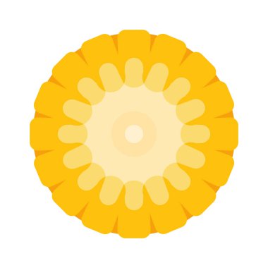 Mısır koçanı. Organik yiyecekler. Mısır koçanı doğal yemek. Olgun mısır. Patlamış mısır pişirmek için. Sağlıklı beslenme. Sebze.