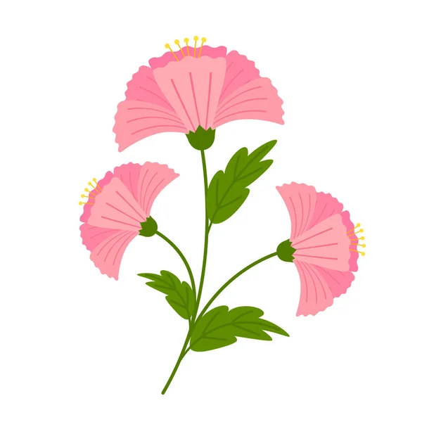 Hibiscus Vecteur Fleurs Hibiscus Belle Fleur Fleurs Isolée Sur Fond — Image vectorielle